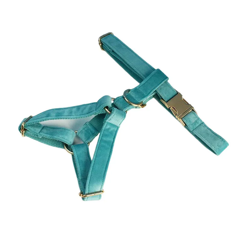 Conjunto de collar y correa de terciopelo turquesa con placa grabada_voghion.com