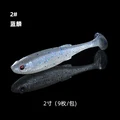 PVC 2 inches -2