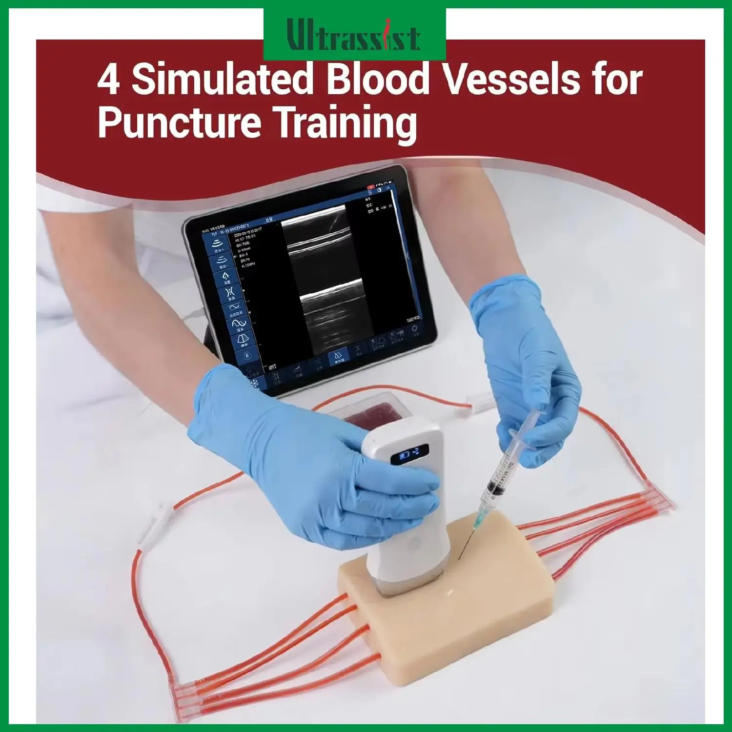 Ultrassist Ultrasound Vascular Puncture Training Pad Ultrasound-Guided Injection Vascular Access Simulate for Medical Education