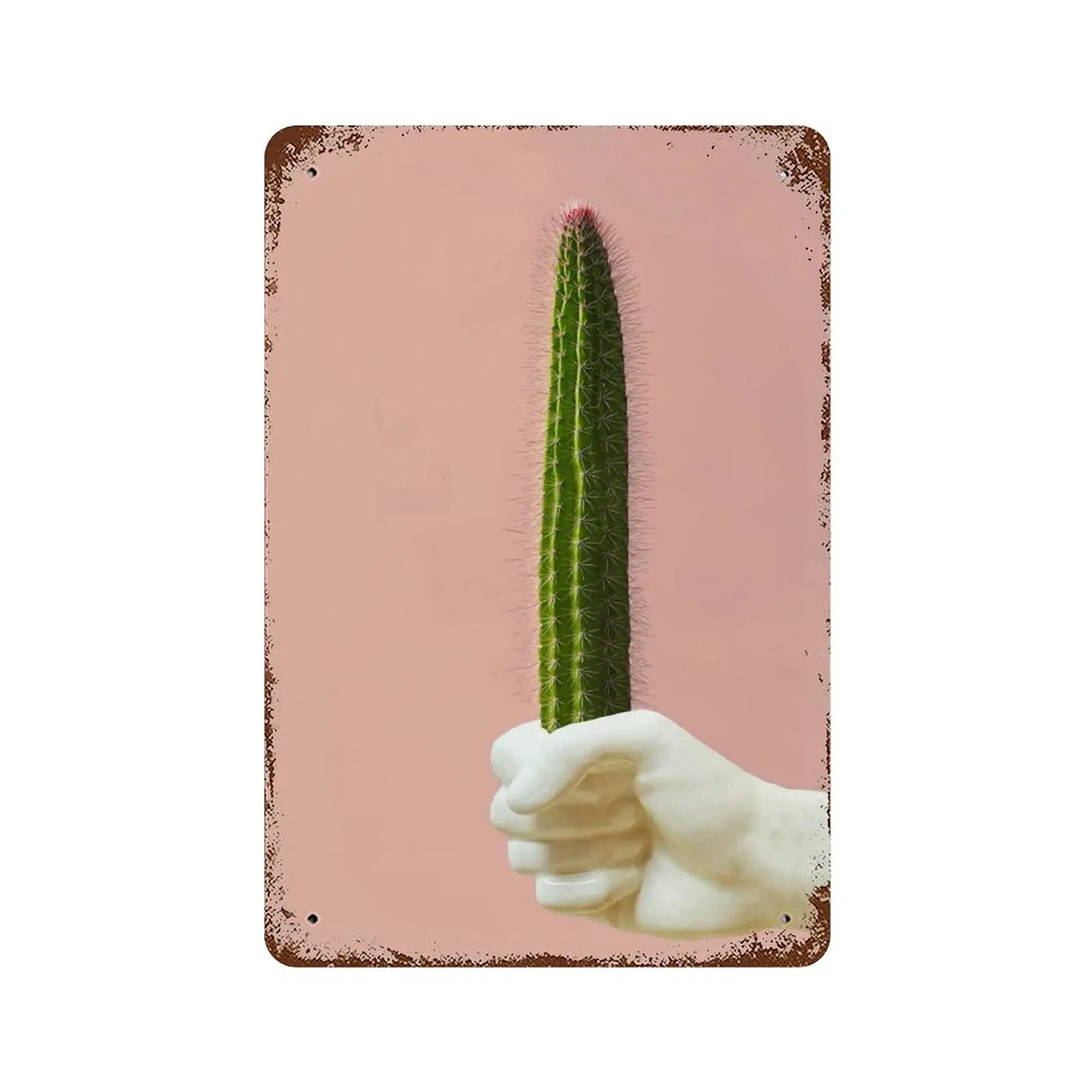 Retro Tin Sign Colorful Succulent Print Cowboy Wall Art Funny Erotic Cactus Signs Decoration Phallic graphy Modern Decor Pla