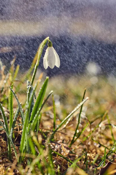 3PCS Pinion Motor Gear M1.5 8mm 11T 12T 13T 14T 15T 16T 17T 18T 19T 20T 21T 22T 23T 24T 25T for 1/6th 1/5th RC Car