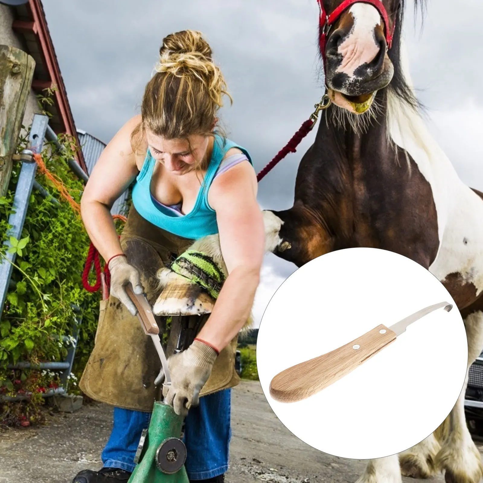 

2Pcs Hoof Repair Tool Durable Stainless Steel Wooden H Horseshoe File Farrier Tools for Long Time Use