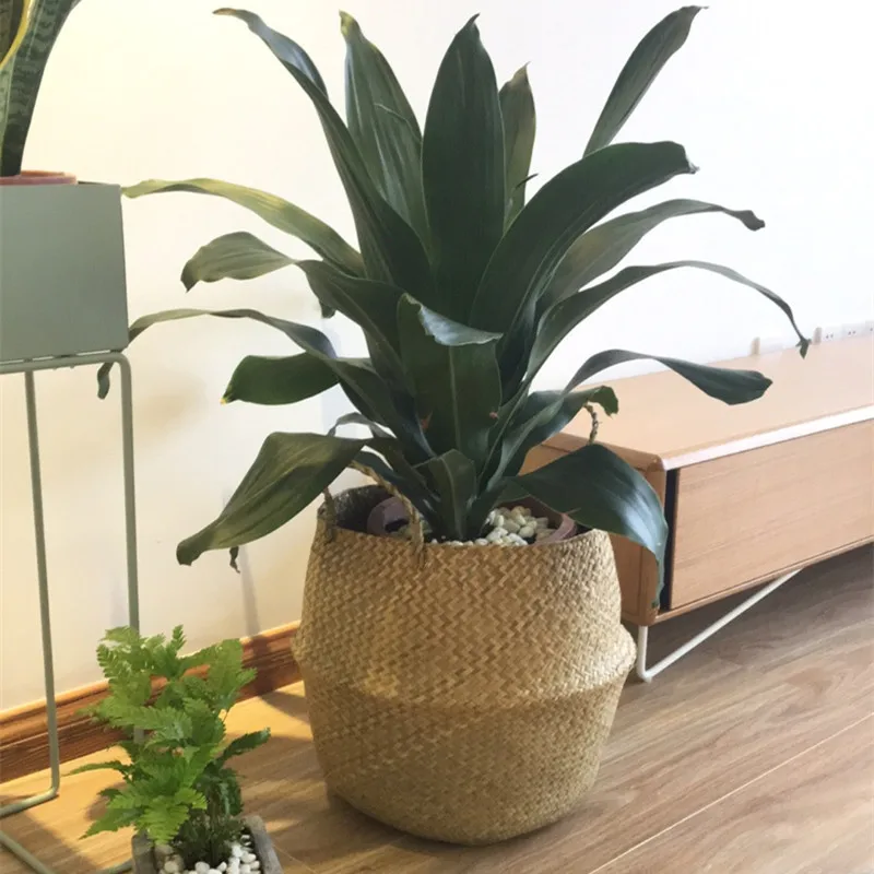 

Indoor Nordic decorative seagrass woven flower basket portable rattan woven flower basket simple and versatile potted bonsai flo