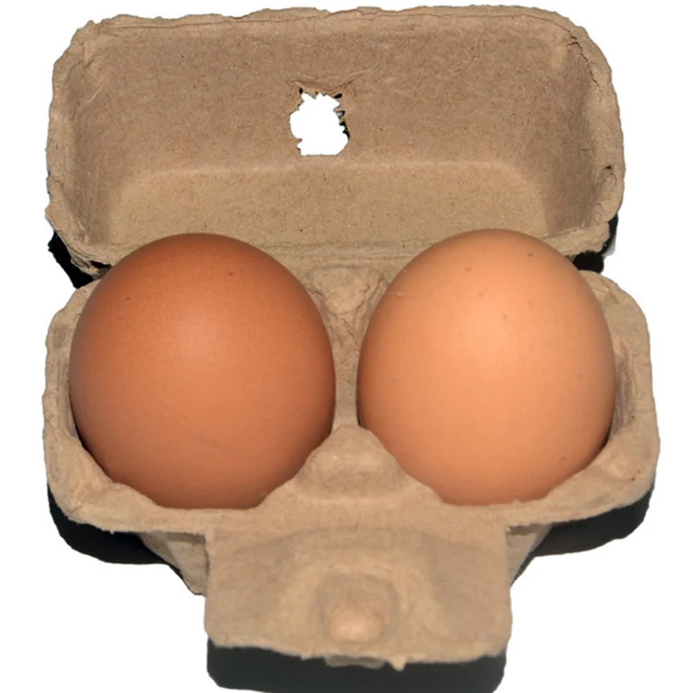 Household Empty Egg Cartons Eggs Holder Paper Pulp Egg Cartons Paper Pulp Egg Containers for Home Kitchen Restaurant
