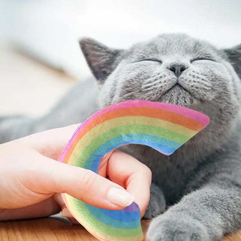 Rainbow Cat Toys Portable Plush Colorful Cat Chewing Toys Reusable Cute Shape Catnip Aroma Cat Teething Toys For Home Pet