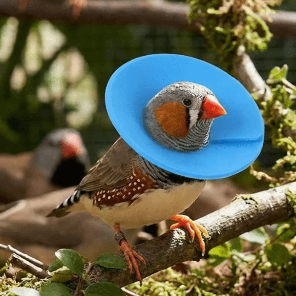 

Cartoon Anti-Bite Pet Elizabethan Collar Soft Comfortable Anti Licking Collar Colorful Adjustable Protective Collar Wound Care