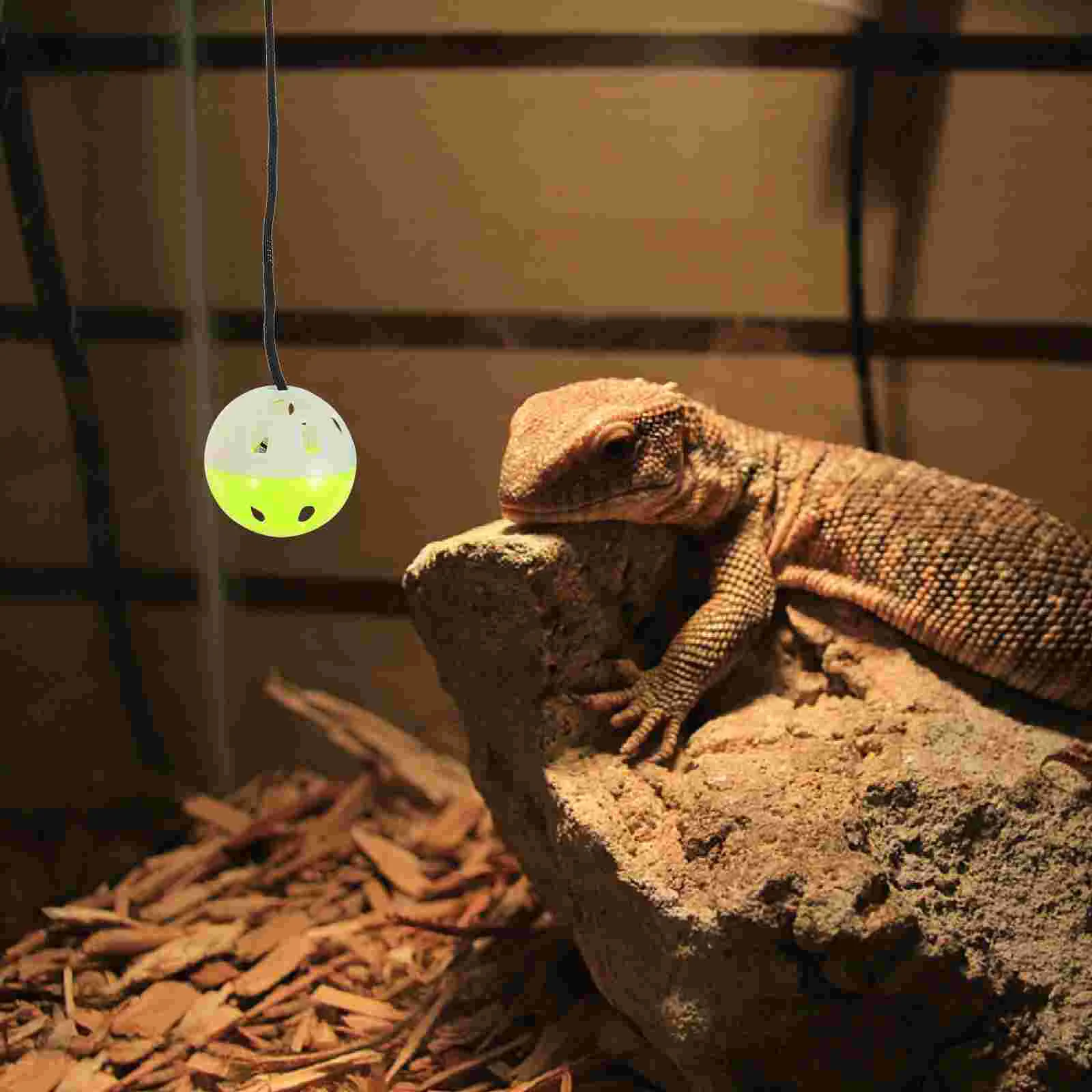 Lizard ของเล่น Bearded Dragon ถังอุปกรณ์เสริมพลาสติกมังกรของเล่นสัตว์เลื้อยคลาน Bell Balls สัตว์เลี้ยงของเล่น Interactive ในครัวเรือน