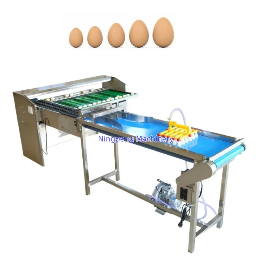 Table Egg Grading Sorter and Candlestick Egg Grader Automatic Industrial