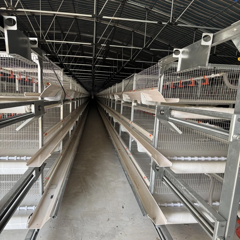 High-Efficiency H-Type Automatic Battery for Egg-Laying Chicken Farming Comprehensive Poultry Cage System Solution