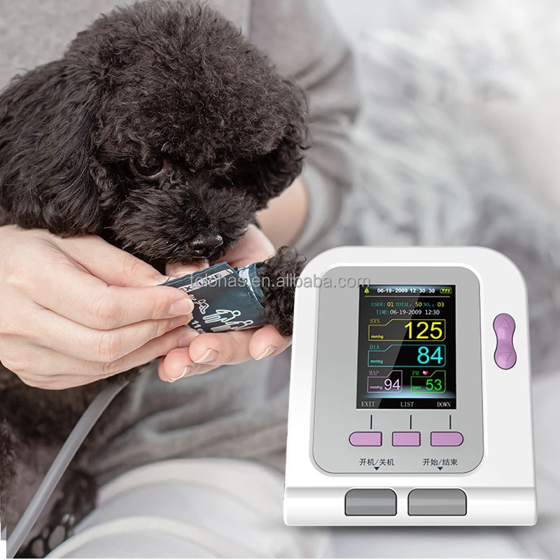 LHG08A-Vet Veterinary Hospital Sphygmometer Sphygmomanometer price Animal Usd Automatic Sphygmomanometer