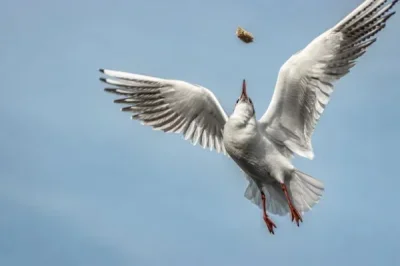 

Пластиковые колеса и резиновые шины E-REVO Summit 1:16, универсальные шины для радиоуправляемых монстр-траков 1/12, 1/14, 1/16 Kyosho HSP WLtoys