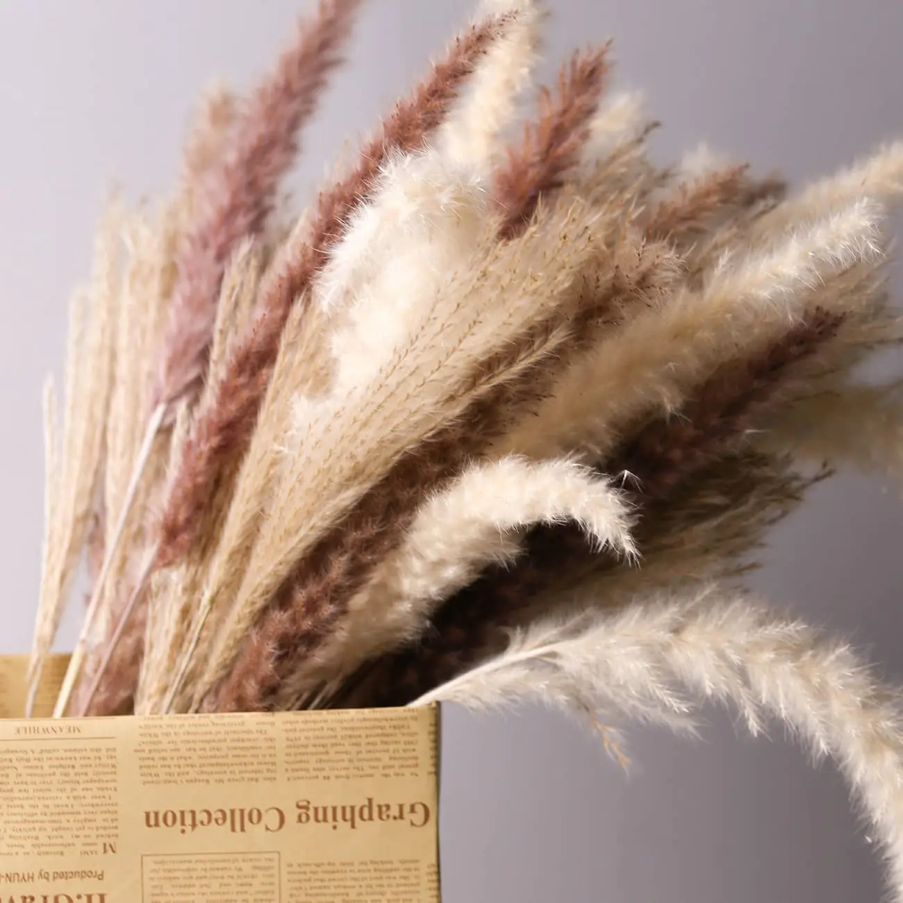 5/15/30Pcs Natural Dried Pampas Grass Plume Decor Fluffy Reed Wedding Flower For Home Kitchen Room Decoration