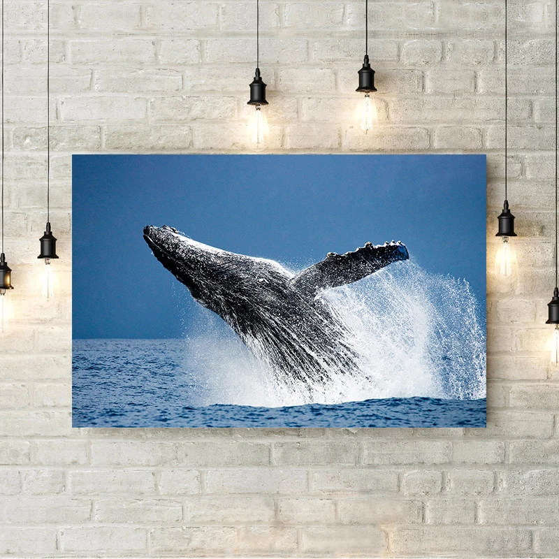 1pc frameless Canvas Painting Shark Jellyfish Humpback Whale Tail Sea Turtle  Poster Print Ocean Wildlife Canvas Painting Print