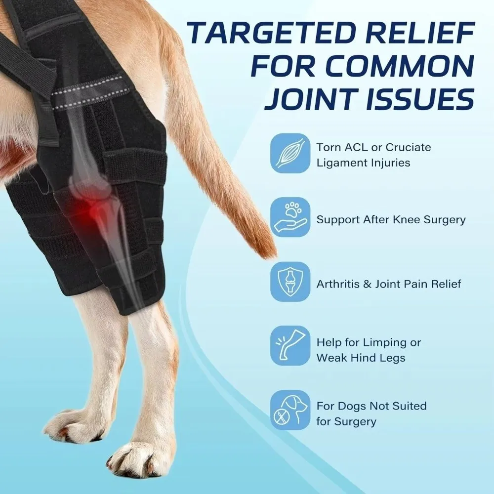 Adjustable Dog Knee Brace Breathable Comfortable Fit Pet Leg Support Black Anti-Licking Dog Rear Leg Brace Wound Protection
