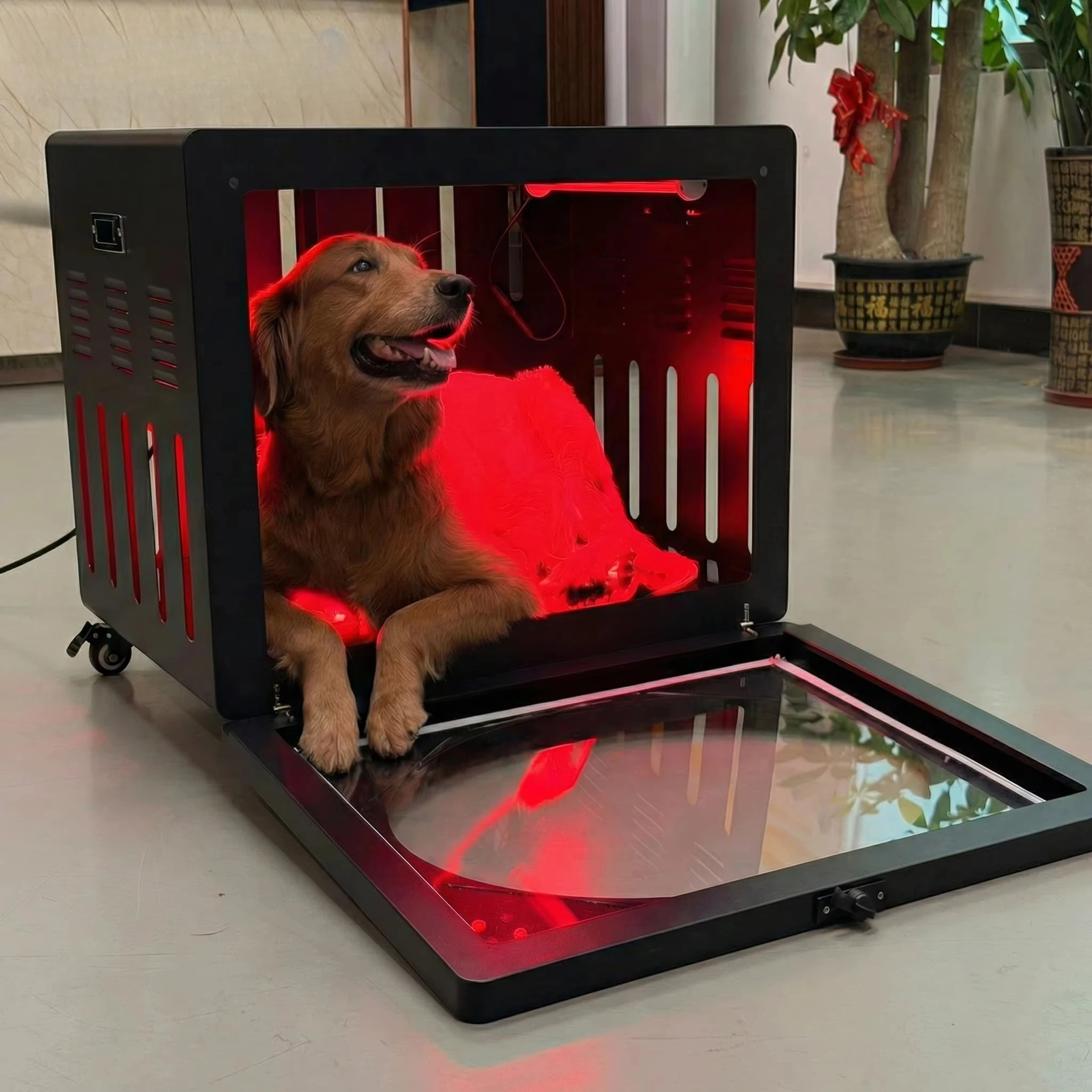 2026 Innovative GLPE 5-Wave Veterinary Red Light Therapy Crate Medical Grade Pet Recovery Box For Professional Pet Clinic OEM