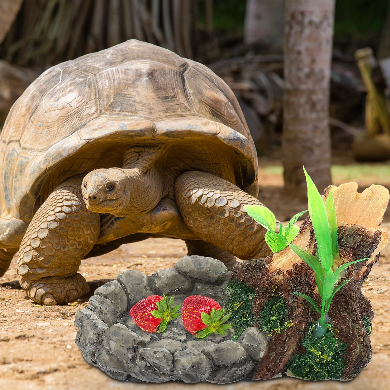 

Terrarium Feeding Basin Rocks Style Waterproof Dish for Snakes Lizards Turtles Indoor Reptile Water Holder Decor Aquarium
