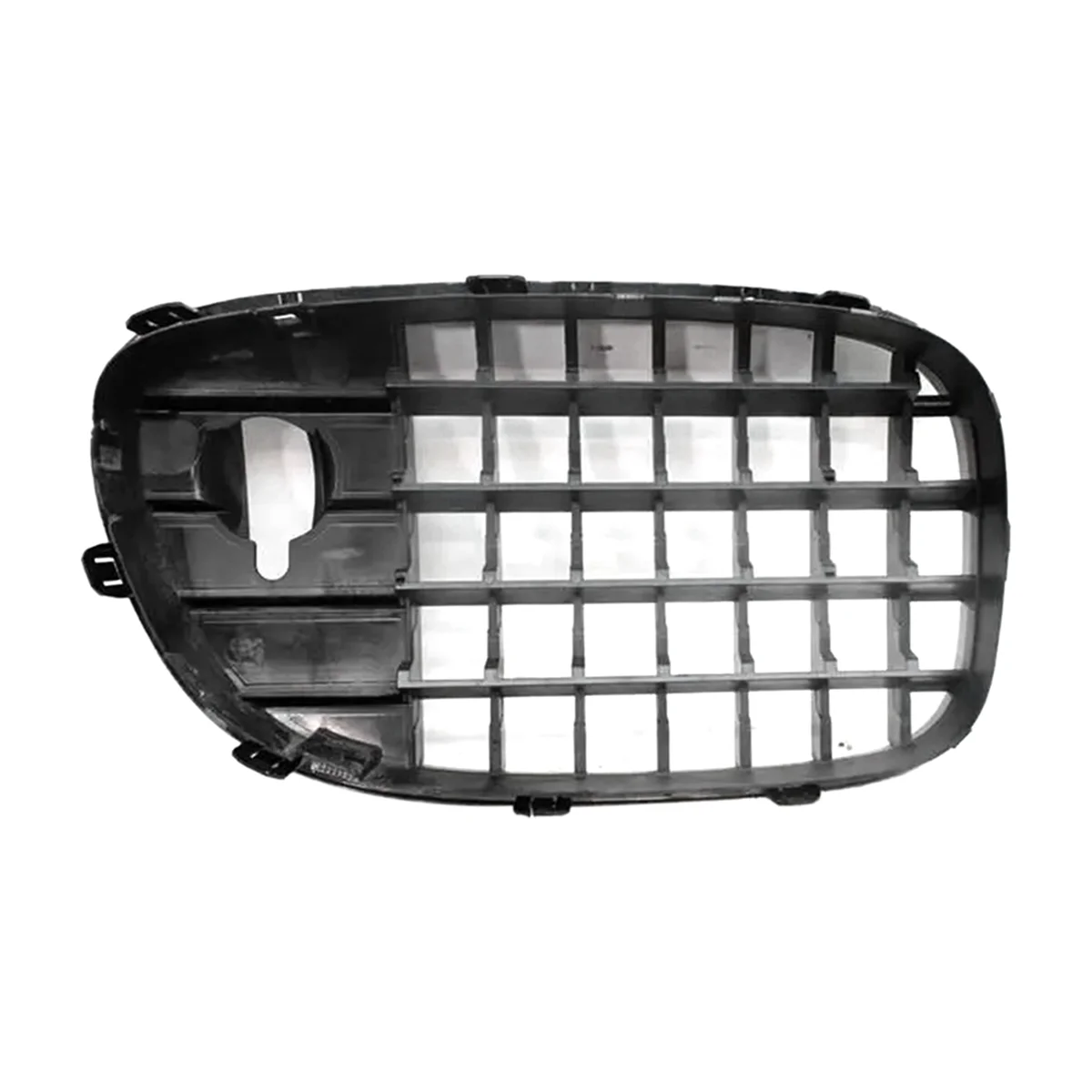 

Car Front Radiator Kidney Grille 51137203197 51137203198 for BMW 7 Series F01 F02 F04 740i 750i 760i 2009-2012