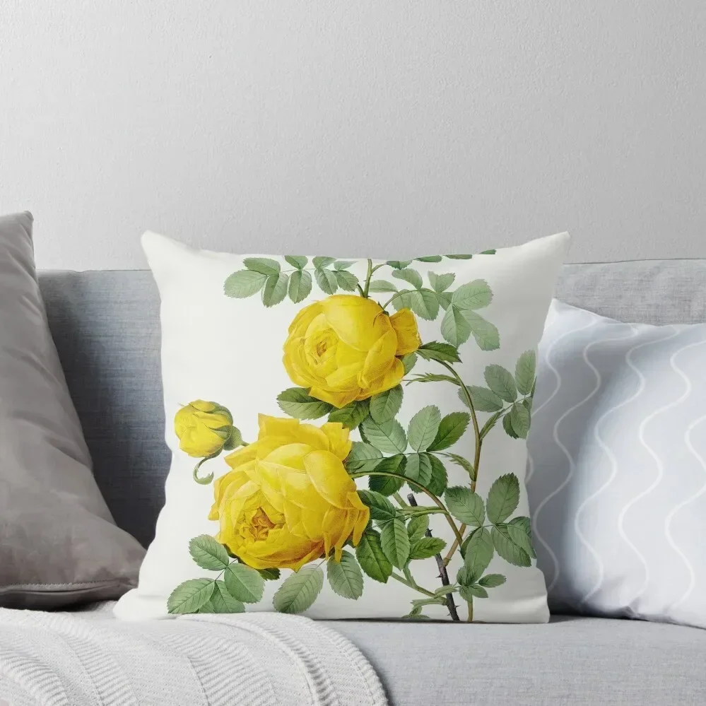 

Rosa hemisphaerica known as Yellow Rose of Sulfur by Pierre-Joseph Redouté Throw Pillow christmas decorations 2025 pillow