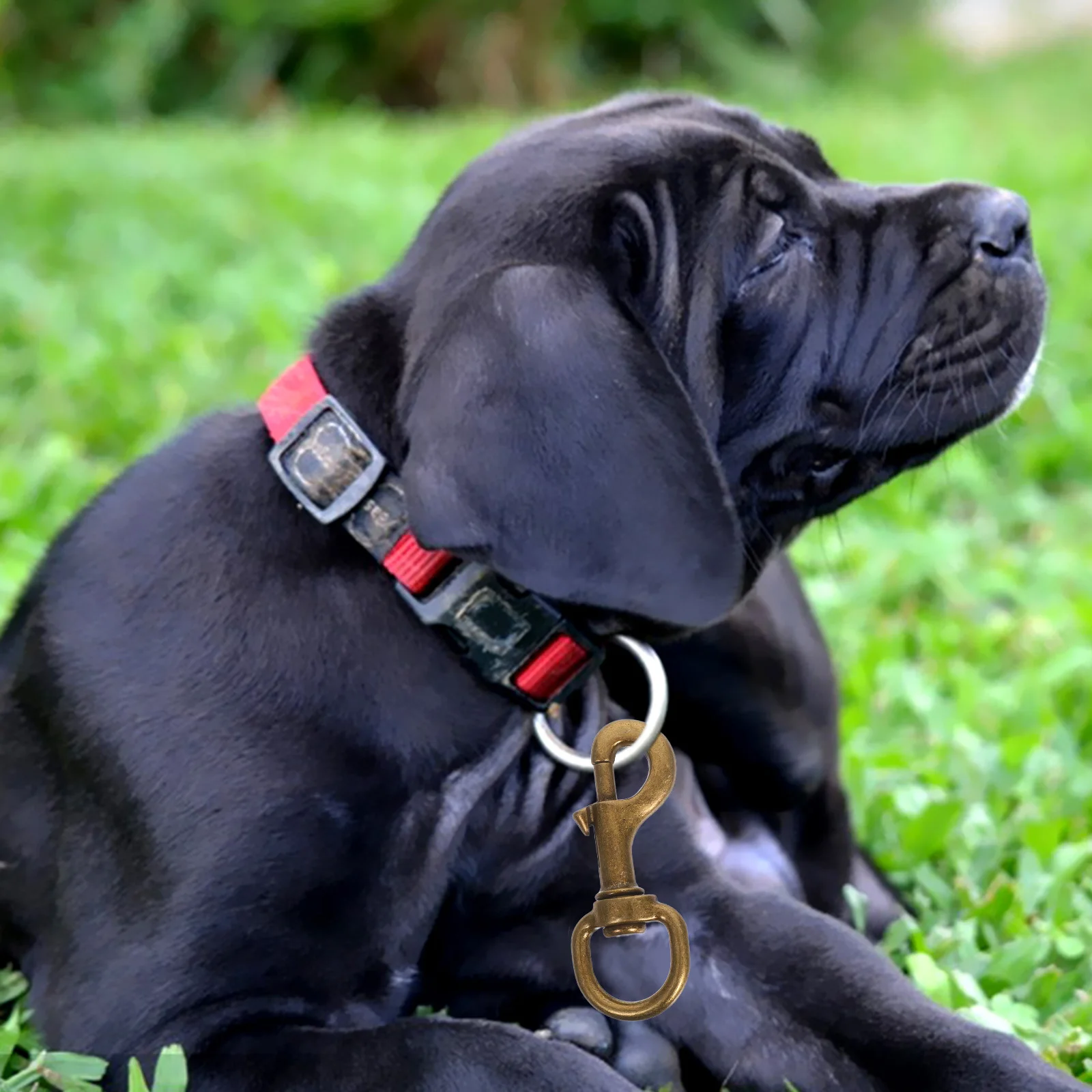 

2Pcs Pet Collar Hooks Spring Snap Zinc Alloy Rotatable Traction Buckle Harness Accessories for Dogs Leashes Cats