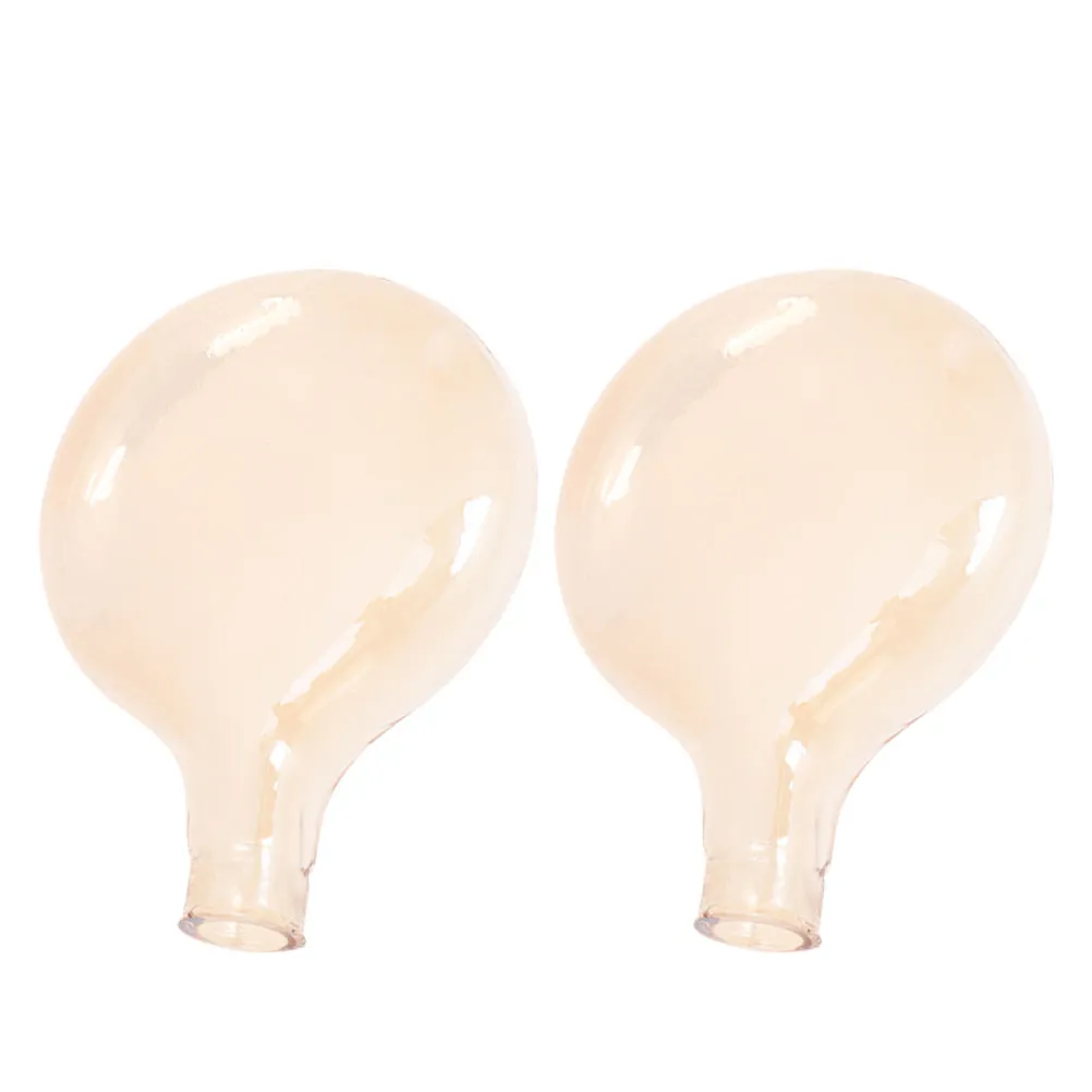 

2Pcs Frosted Glass Ball Lamp Shade Pendant Light Shade Replacement for Modern Living Room Ceiling Fixture Decorative Lampshade