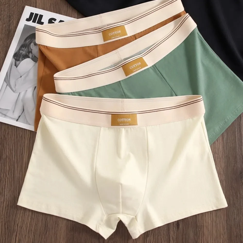 4Pcs Fashion Solid Color Men's Boxer Briefs L-4XL Seamless Underwear for Man Mid Waist Elastic Men Panties Boys