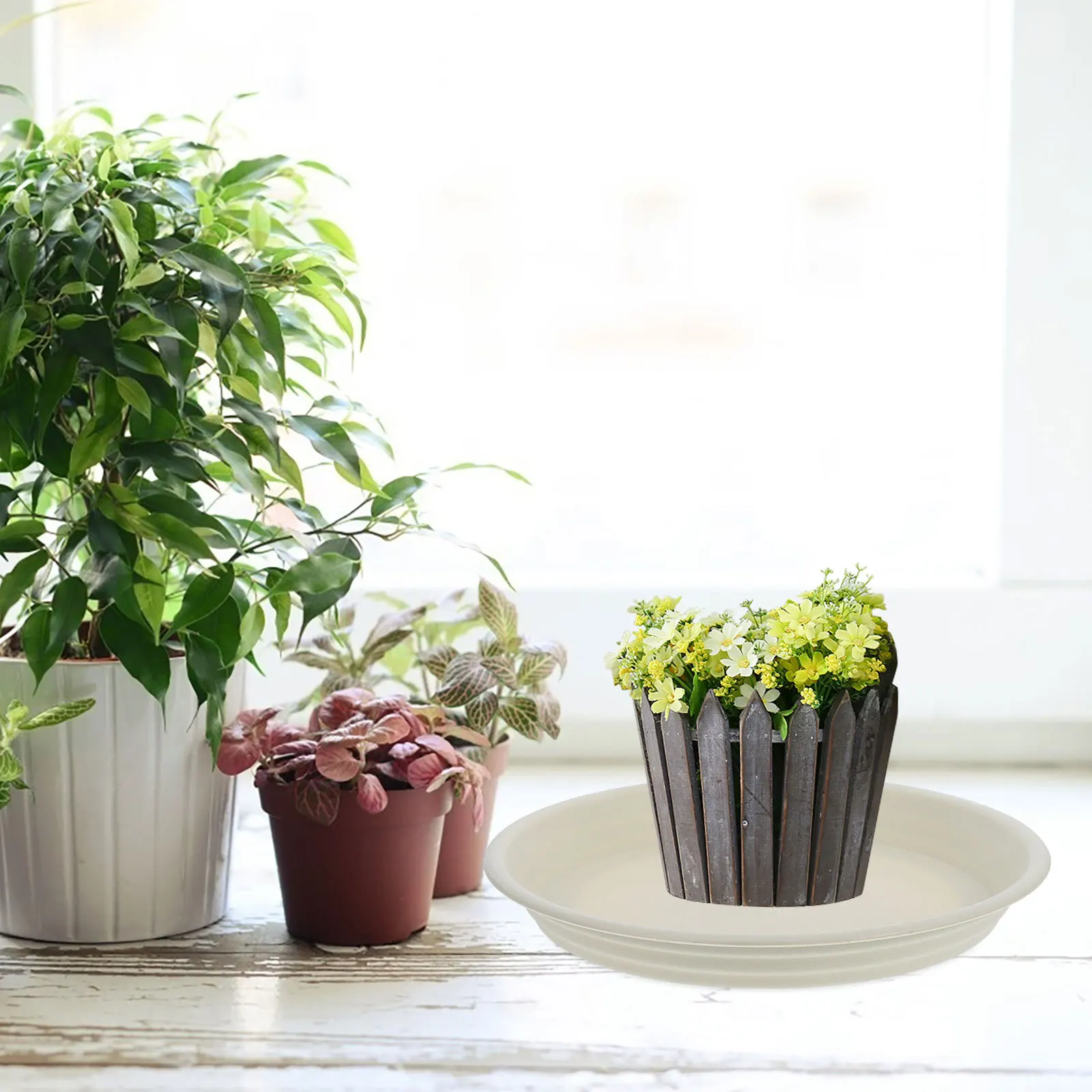 

4 Pcs Flower Pot Saucers Flowerpot Water Tray Bottom Watering Pp Catcher Drip Trays