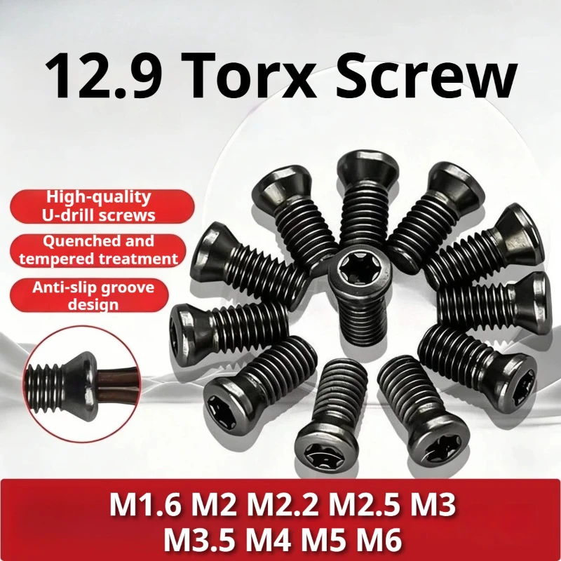 CNC Lathe Carbide Insert Screws Assortment M1.6-M6 Torx Head Replacement Screws for Indexable Tool Holders