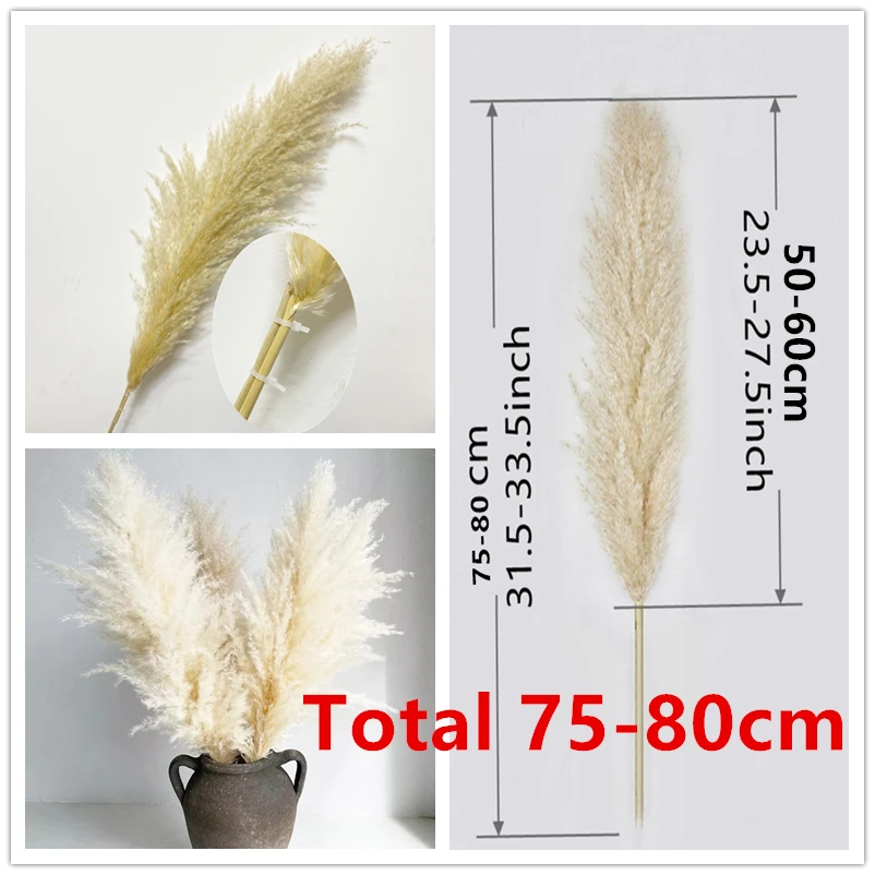 60-120Cm Pluizige Grote Pampas Gras Gedroogde Bloemen Tall Natuurlijke Driy Pampas Kerst Thuis Boho Decor Diy Bruiloft decoratie