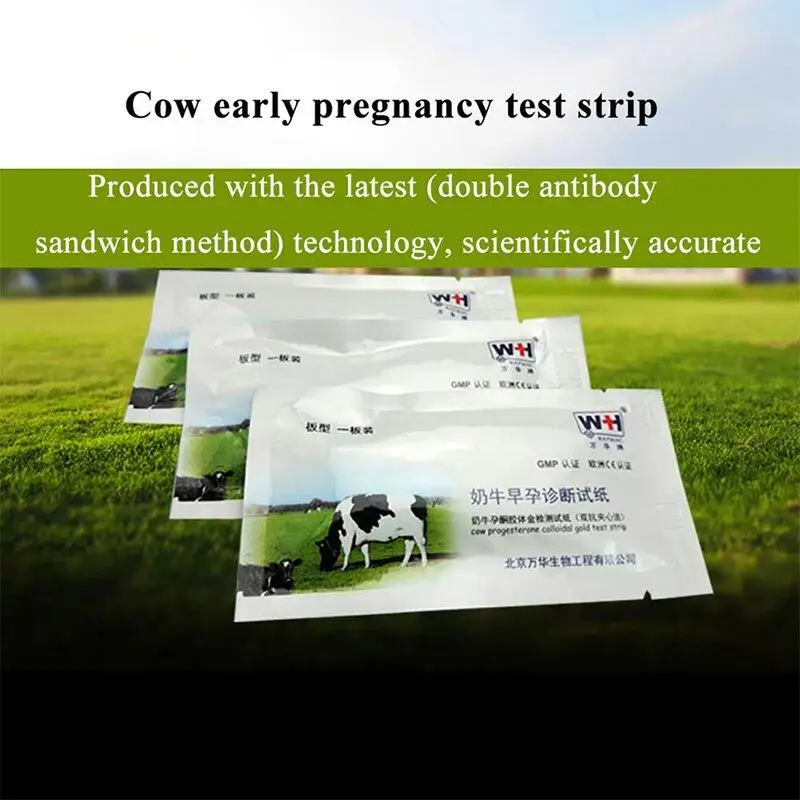 Cow Pregnancy Test Paper Cattle Pregnant Detection Paper Pregnancy Detection Daily Farm Equipment Testing Livestock Supplies