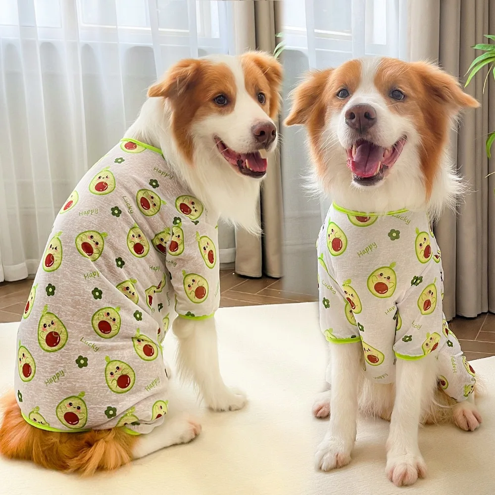 Chaleco verano transpirable con UV para Bulldog francés - imagen 4