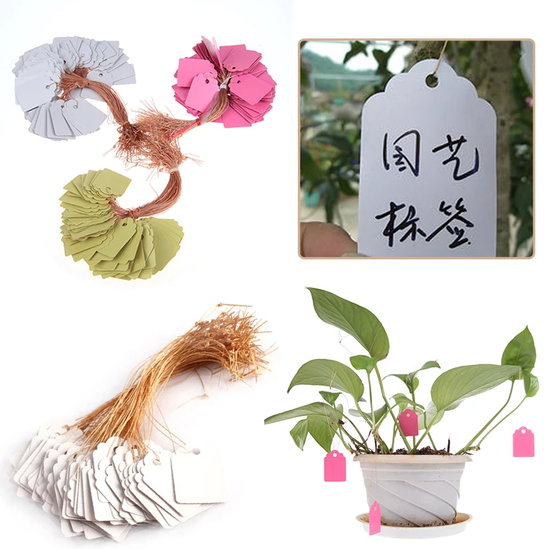 プラスチック製の植物ラベル100個,3.6x2.5cm,吊り下げ,庭の植木鉢,赤ちゃん用,再利用可能なプランター,ラベルマーカー