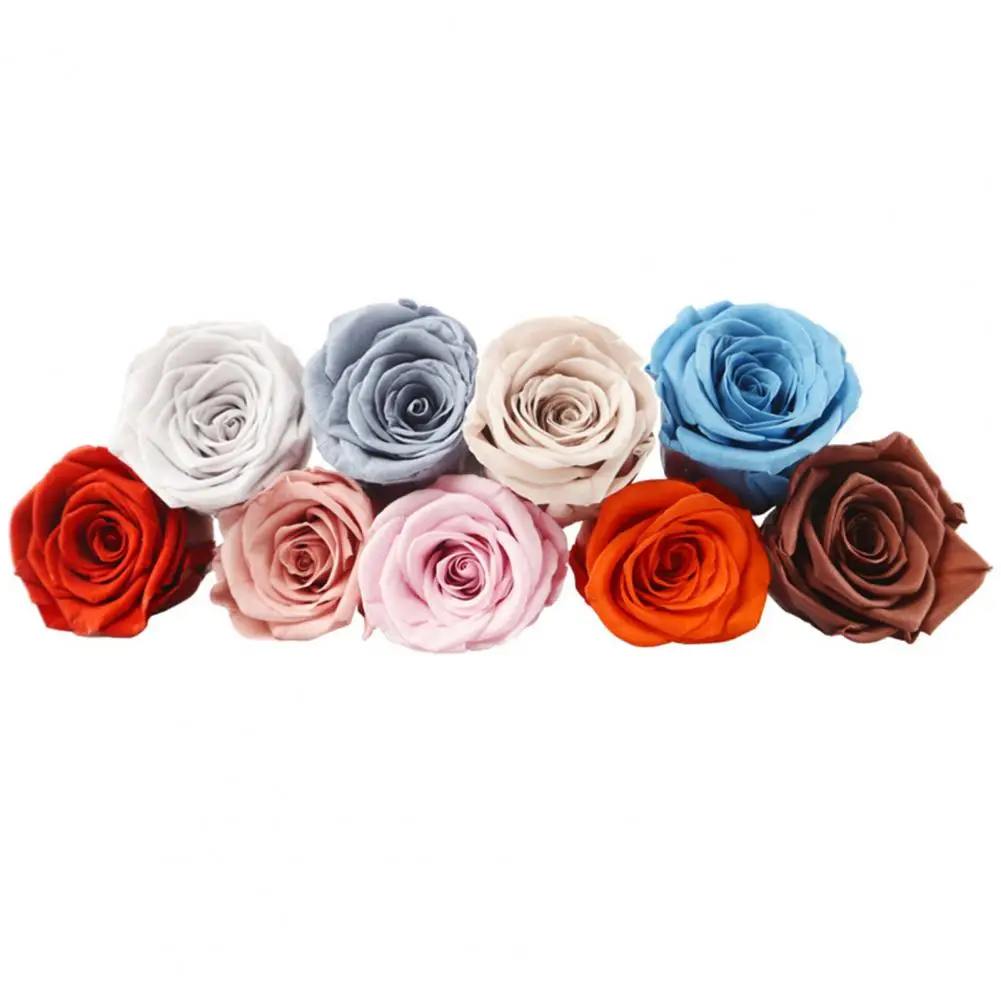 8 Pcs Eternal Rose Flowers Vibrant Color Natural-Looking Blossom Handmade Preserved Flower Fresh Dried Rose Immortal Ornament