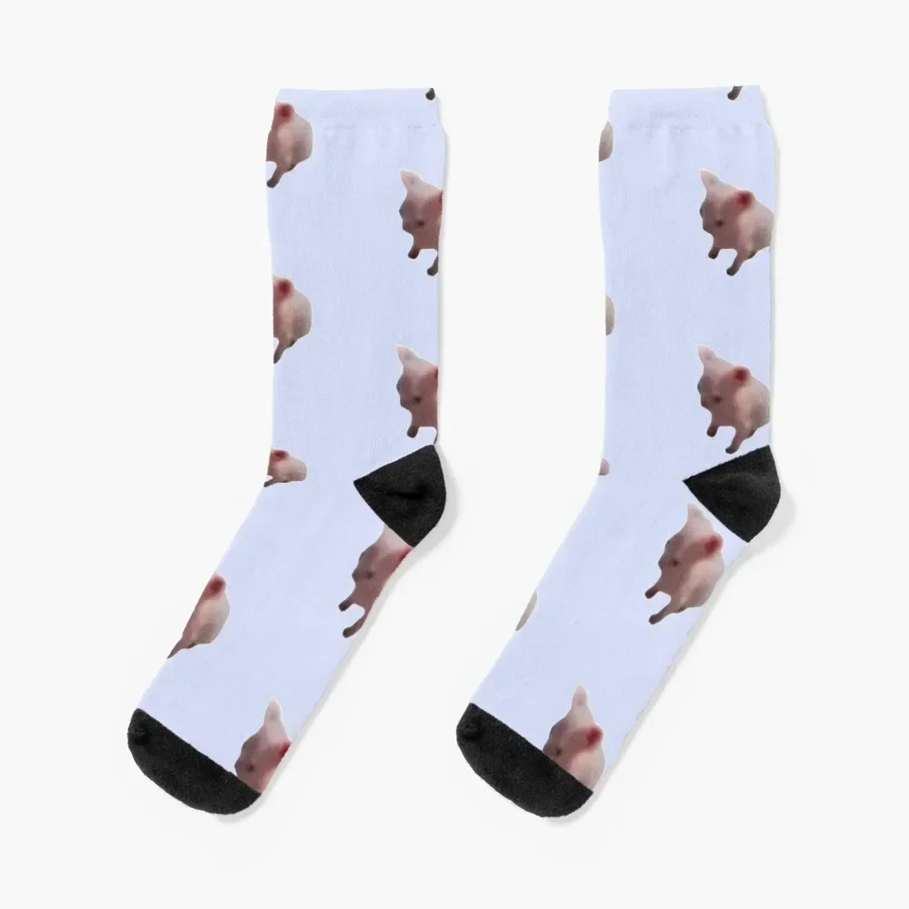 tiny bingus Socks Stockings fashionable Socks Male Women's