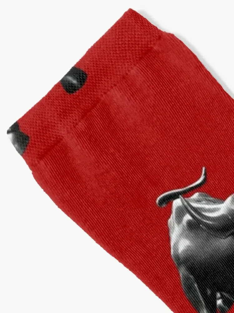 The Wall Street Bull Socks hiphop shoes sports and leisure custom sports Man Socks Women's