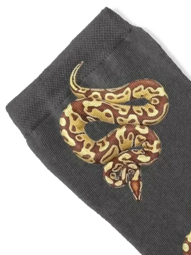 جوارب Ball Python Monarch Morph الكثير من الجوارب هدية عيد الميلاد لكرة القدم للأولاد والأطفال جوارب نسائية #2