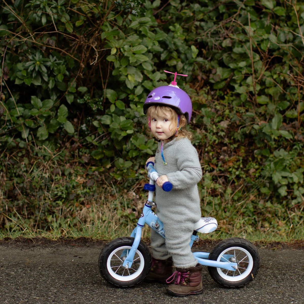 5 stuks motordecoratie creatieve libel zuignap mooi ornament sterke zuigkracht eenvoudig te installeren