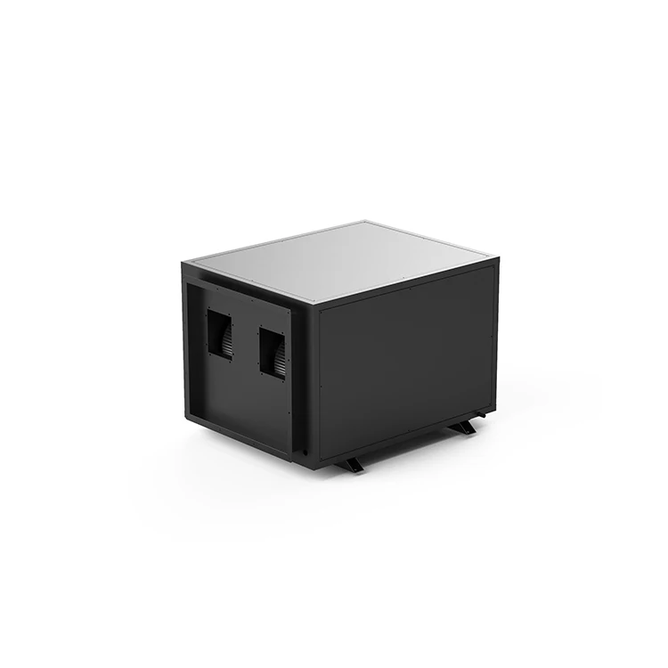 

Мощный регулируемый осушитель воздуха с гигростатом 168 л/сут, коммерческий, потолочного монтажа, для гроубоксов