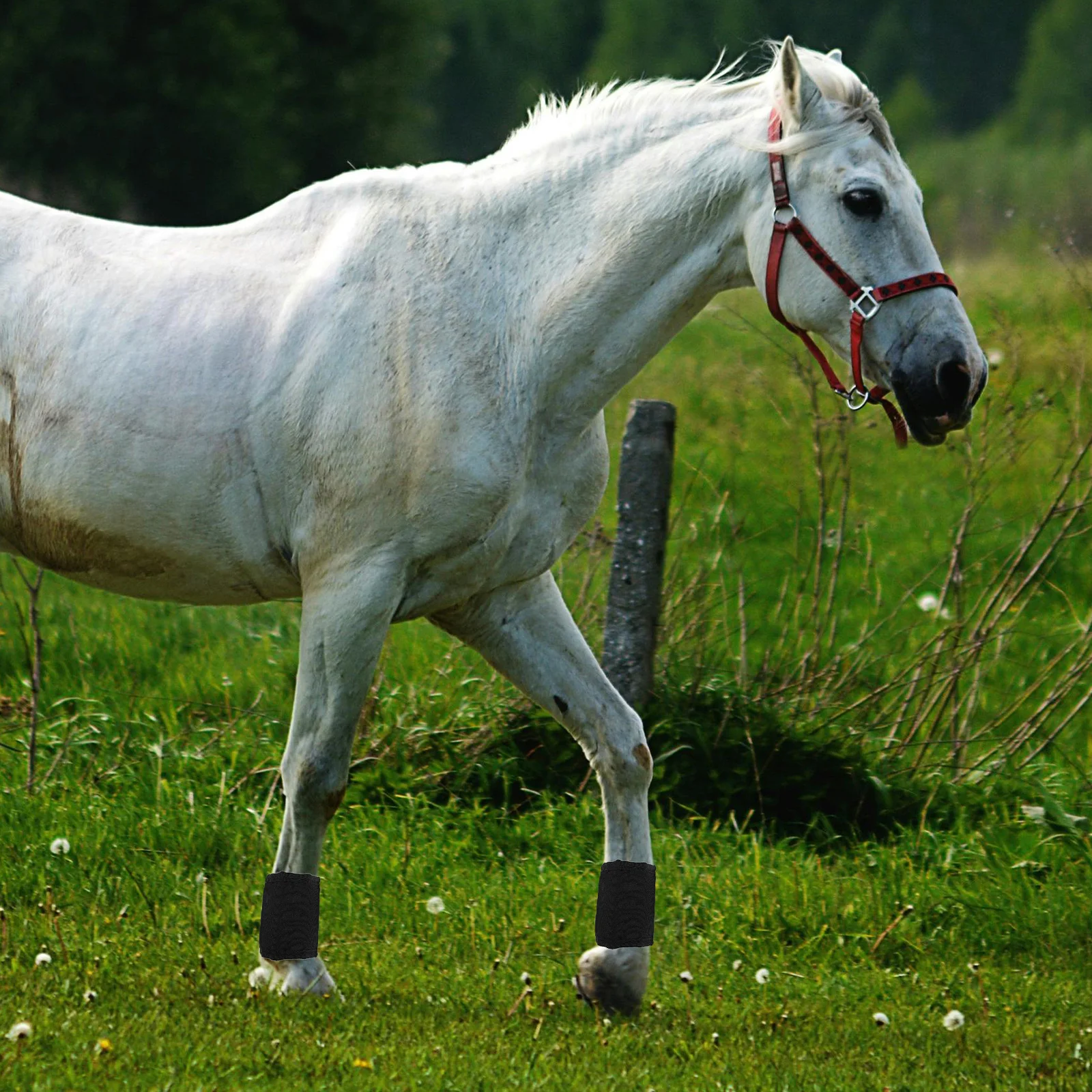 2 قطعة يلتف ساق الحصان جرس الأحذية الزخرفية يطير الأحذية تنفس النسيج سهلة التنظيف أرجل الحصان يلتف فضفاضة