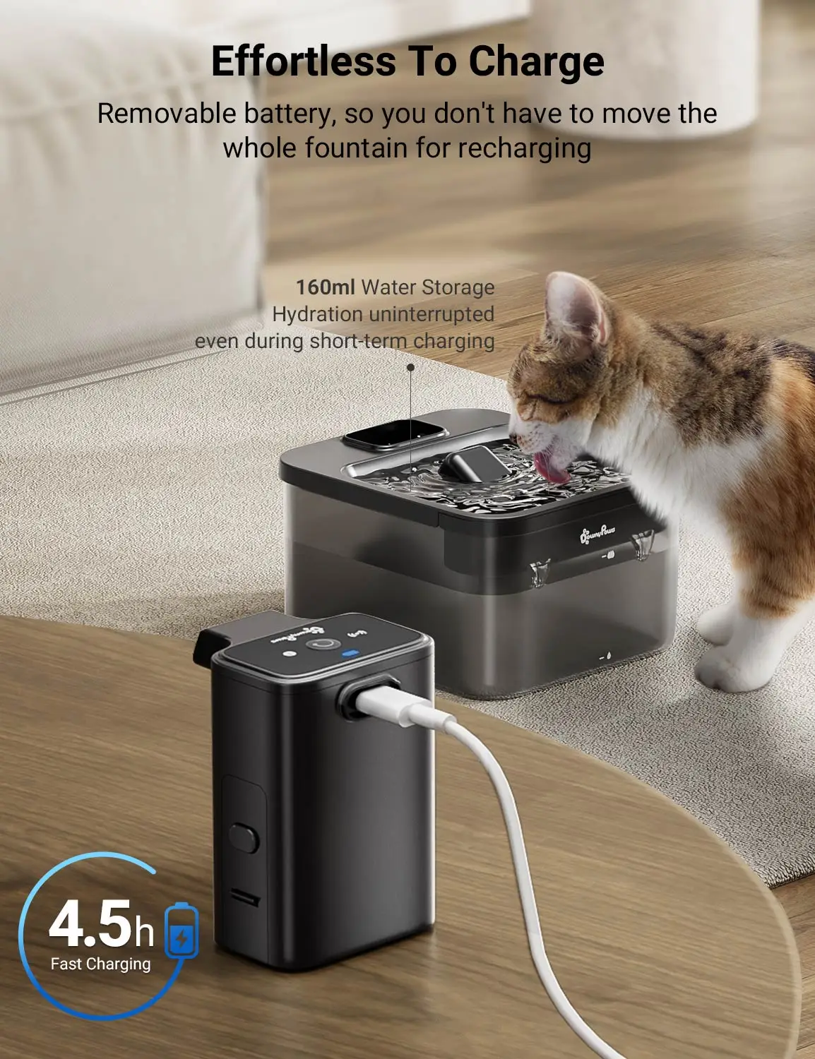 Imagem -04 - Downypaws-fonte de Água sem Fio para Gato e Cão Dispensador Automático de Água com Sensor de Movimentos a Pilhas 2.5l