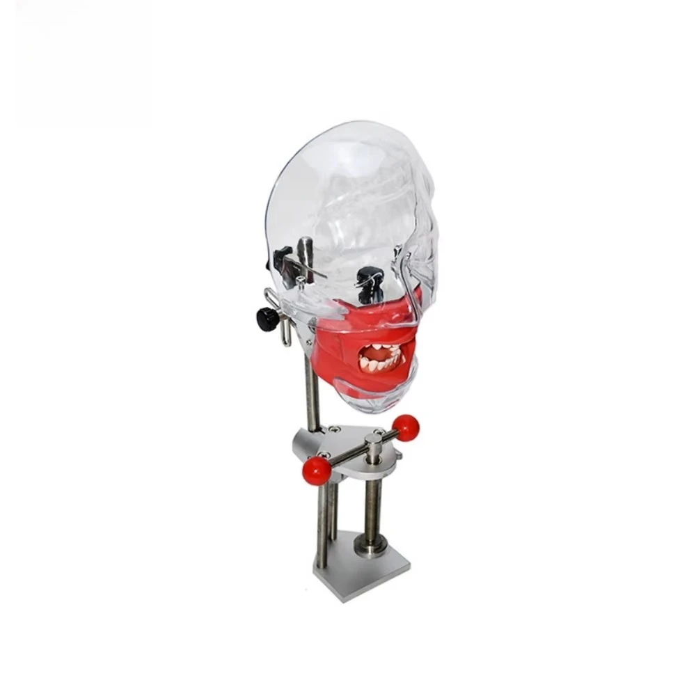 Oral Phantom Head Simulator Model for Dental Practice & Training Manual Power Source for Dental School & Clinic