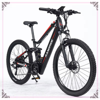 RANDRIDE YS90 Electric Bike 1000W Motor 48V Off Road Mountain Electric Bicycle with CE Certificate