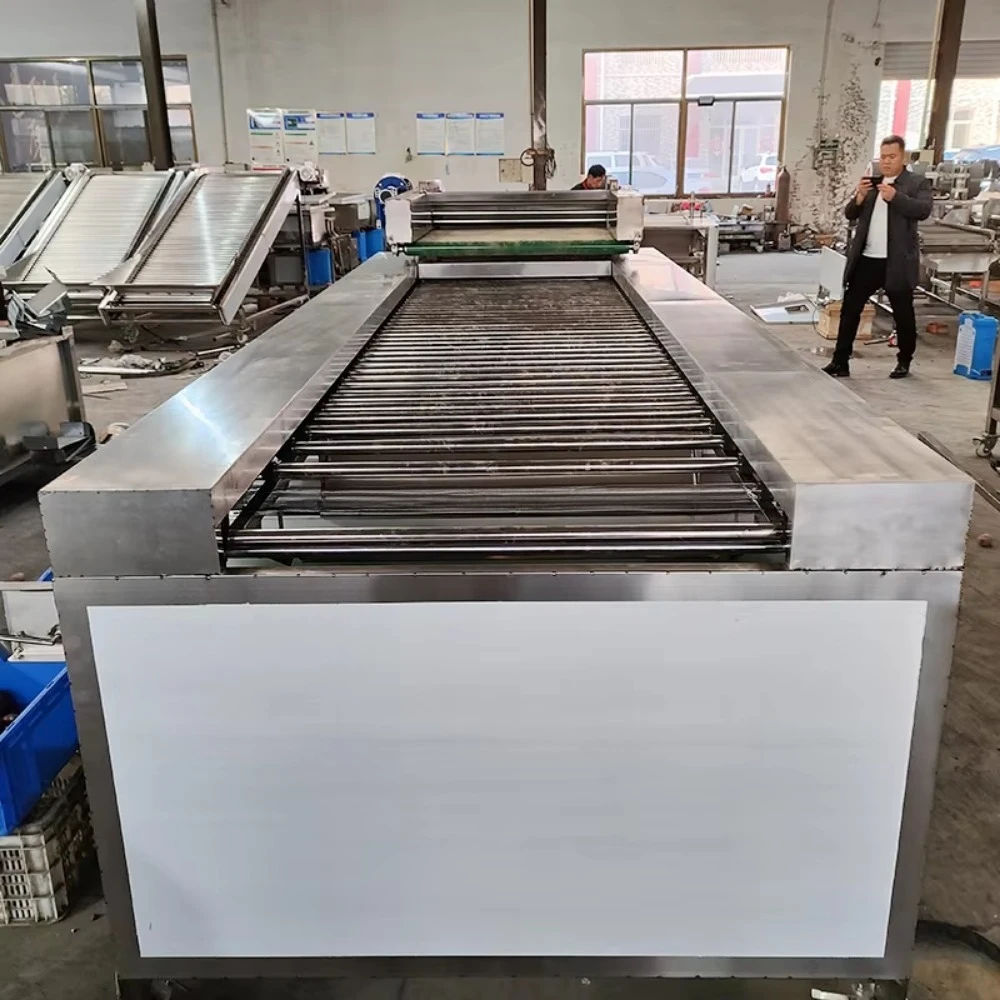 Blueberry Size Sorter Grader Fruit Cherry Tomato Onion Sorting Machine Citrus Onion Selector Avocado Fruit Grading Machine