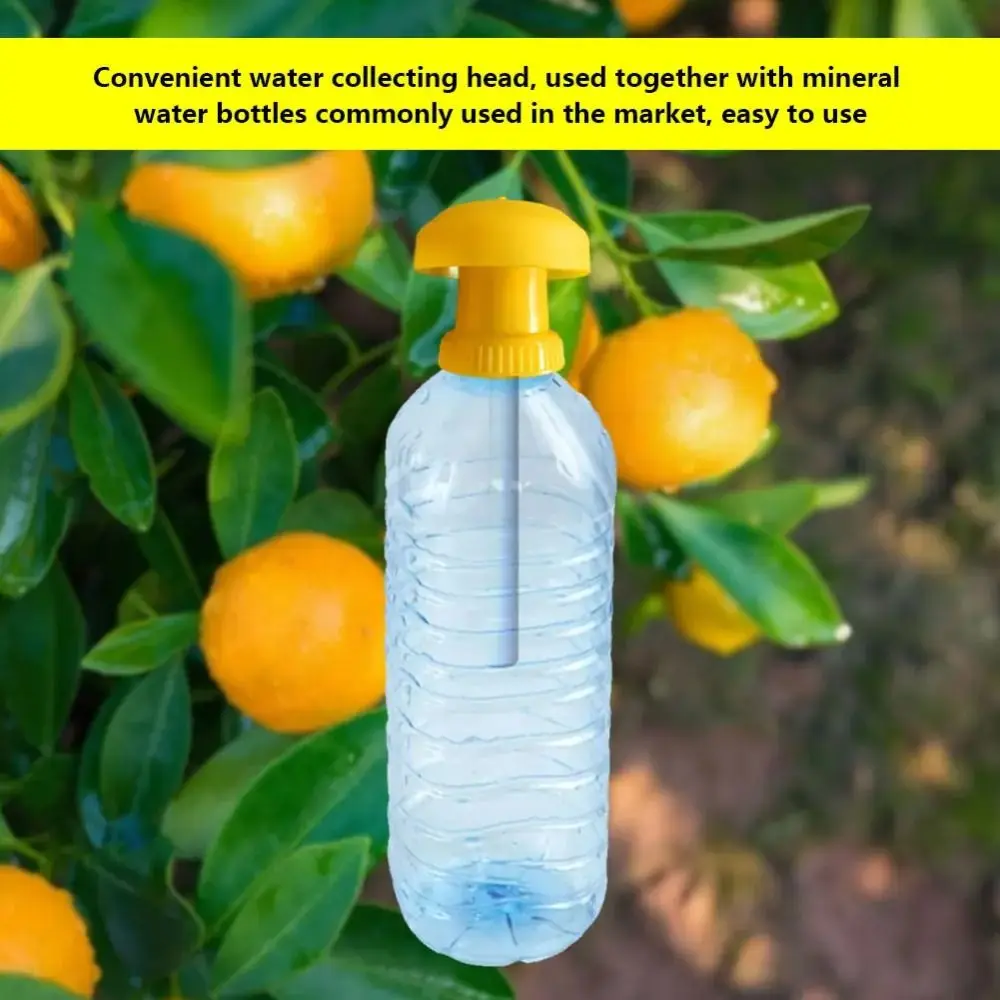 2Pcs Portable Plastic Fruit Fly Trap Antimosquito Yellow Insect Fly Catcher Farm Tool Universal Insect Trap