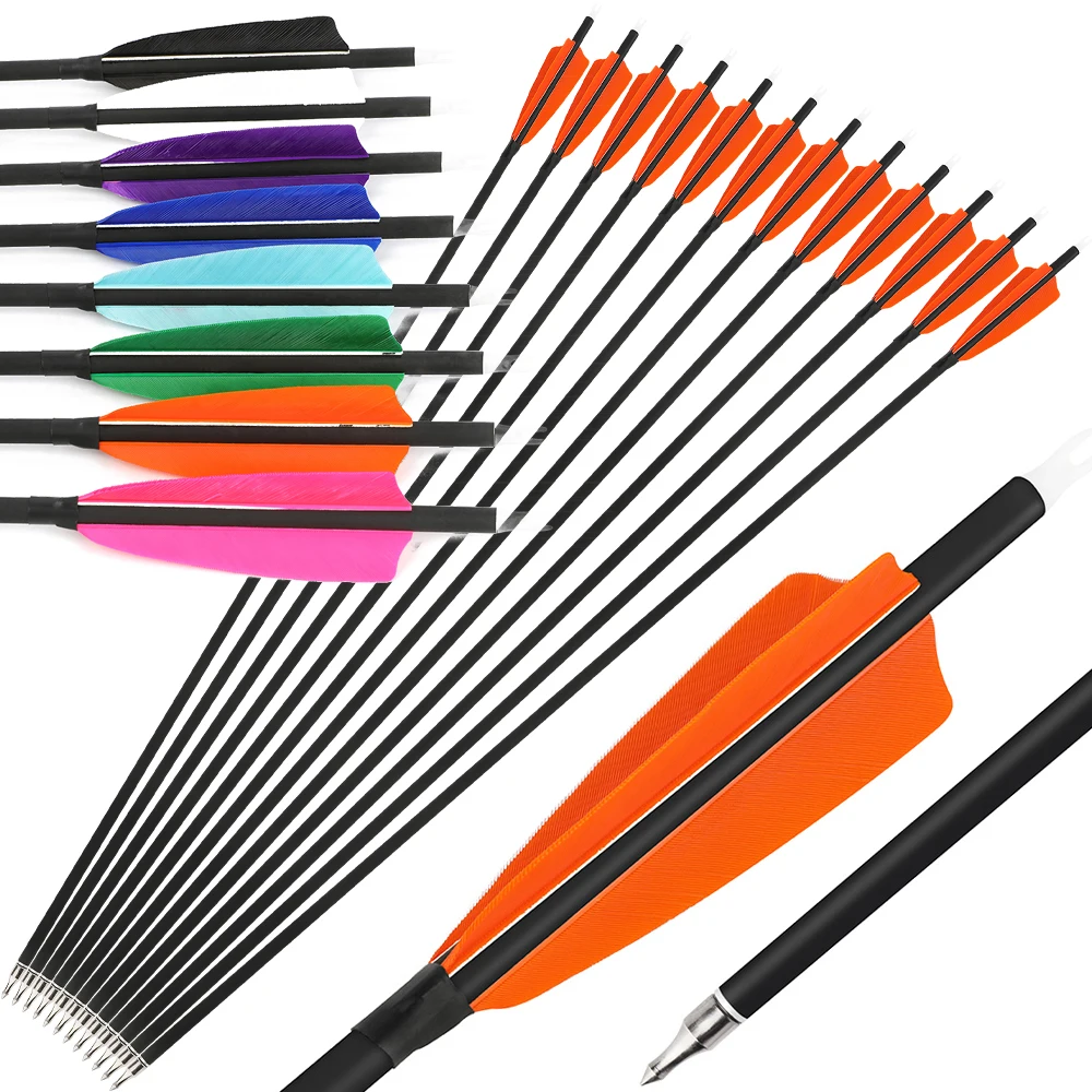 

‌Archery Carbon Arrows 28'' 30'' 31'' SP500 4''Natural Feather for Compound Bow Recurve Bow Competition Hunting Target,12pcs‌‌