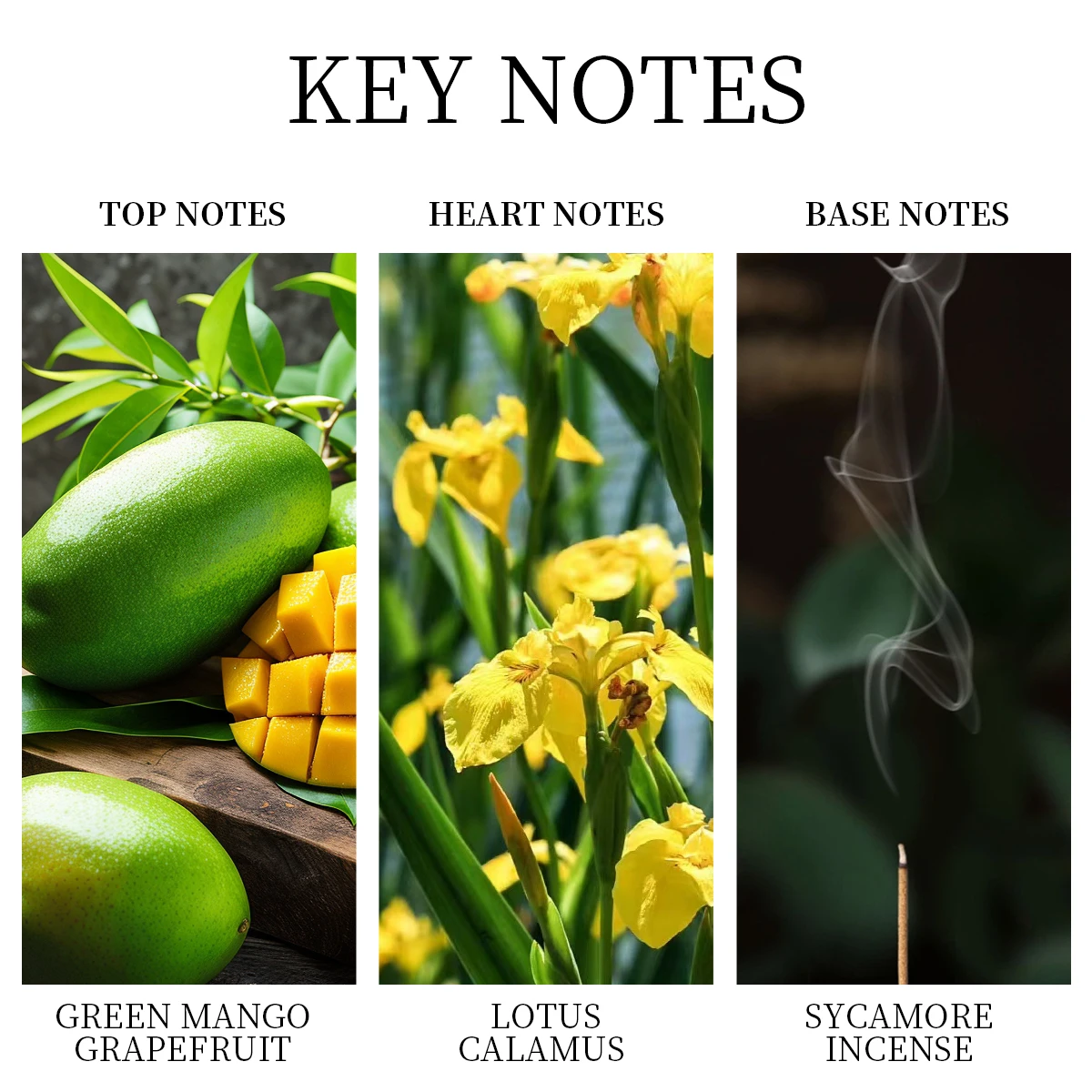 عطر LASTAR للرجال، عطر يدوم طويلاً، ملاحظة فواكه طازجة، 50 مل/1.7 أونصة، مناسب للتمر الخارجي، هدية عيد الميلاد. #3