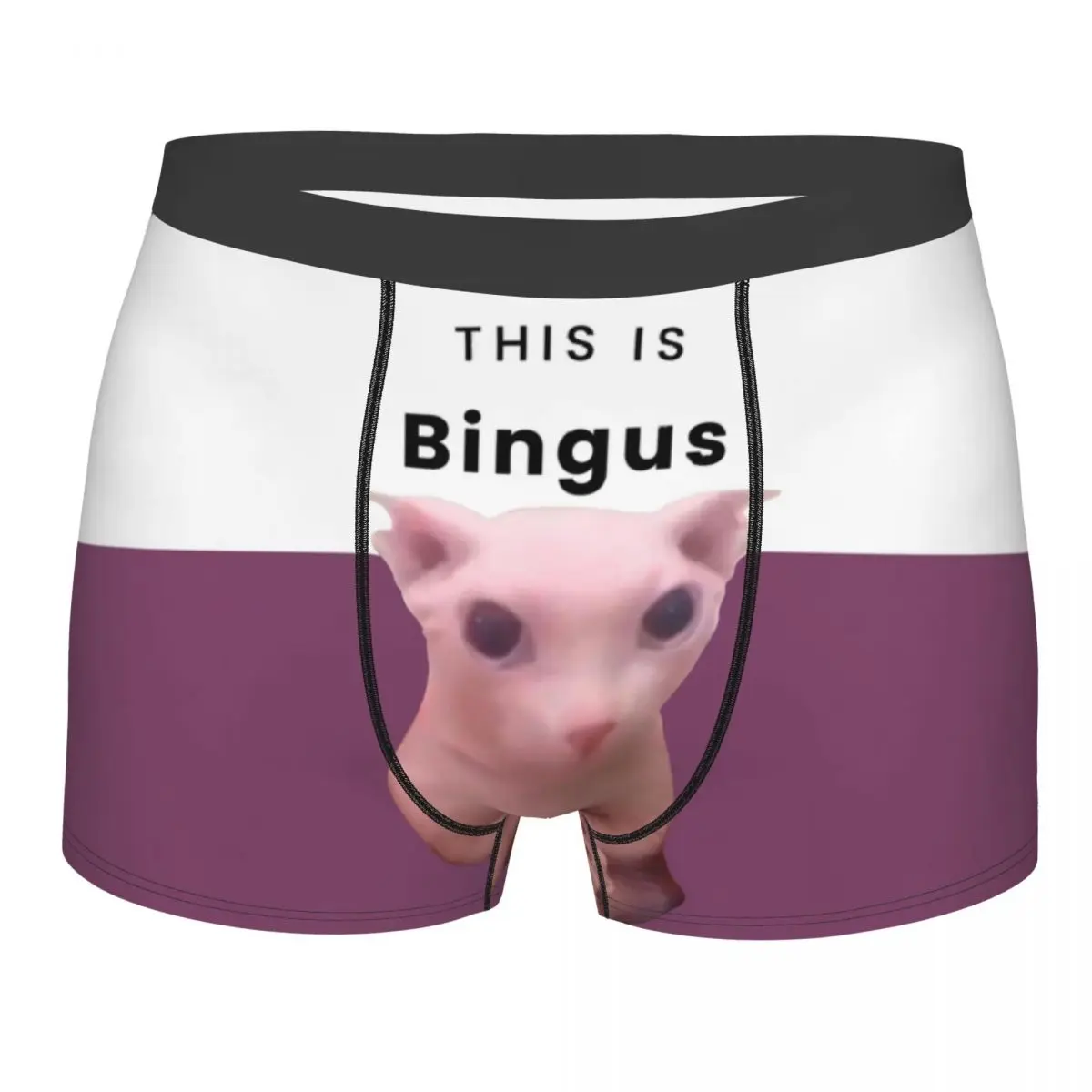 Men This Is Bingus Boxer Briefs Shorts Panties Soft Underwear Sphynx Cat Homme Printed S-XXL Underpants