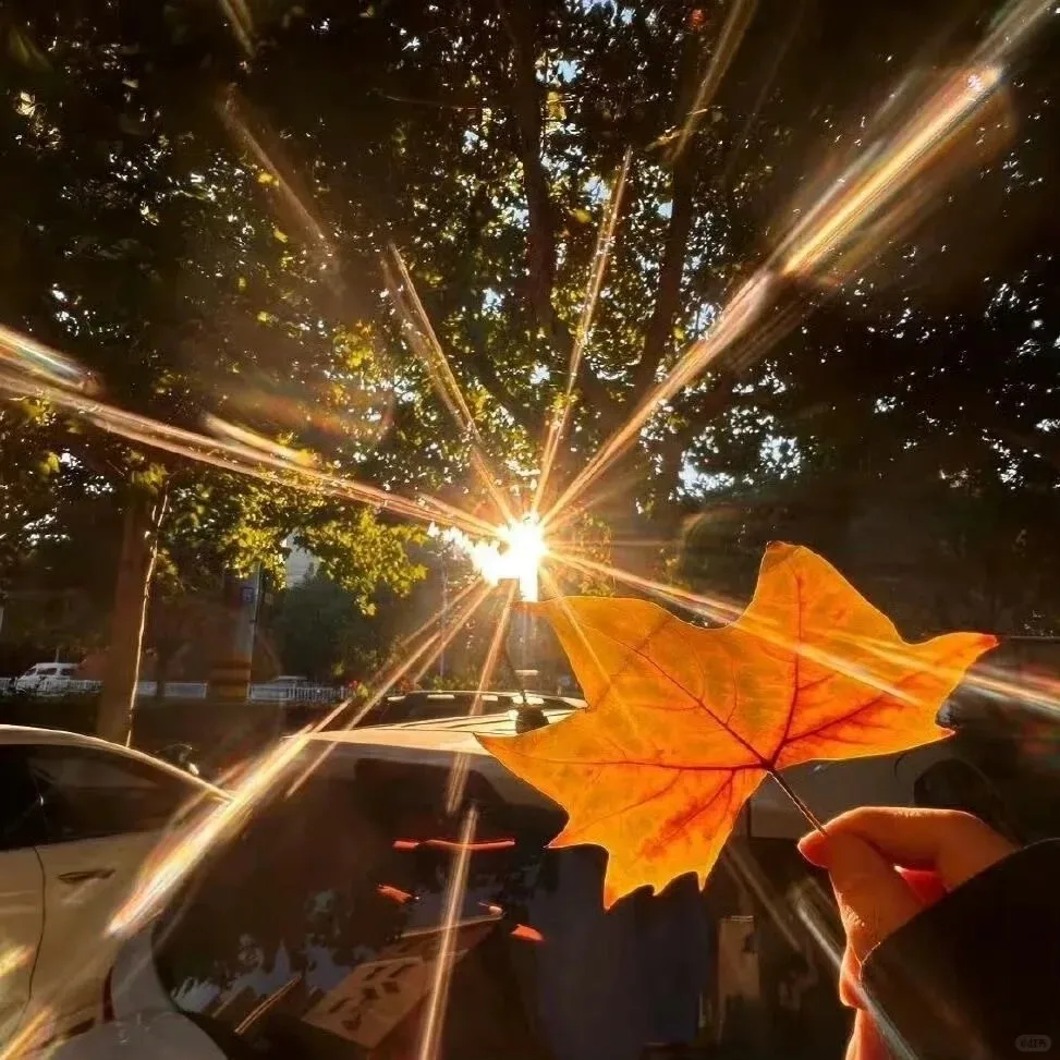 

Android 13 Carplay Auto For Land Rover Freelander 2 2009-2015 Car Radio Navigaion GPS Multimedia Video Player DSP FM Head Unit