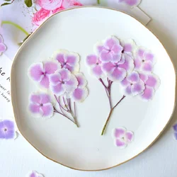 120pcs Pressed Dried Gradient Color Hydrangea Flower Herbarium Resin Epoxy Jewelry Card Bookmark Frame Phone Case Makeup Lamp