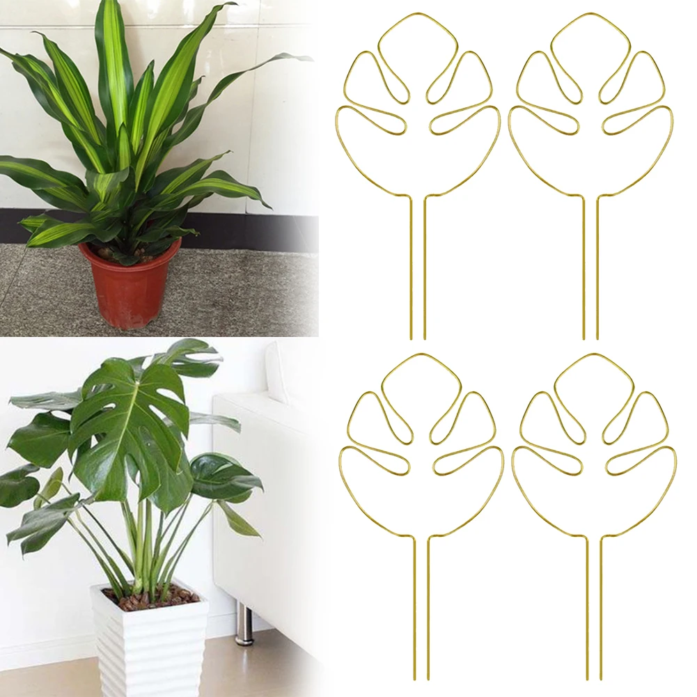 stainless steel For plant support set of 4 for stabilizing stems and enhancing the beauty of your indoor garden