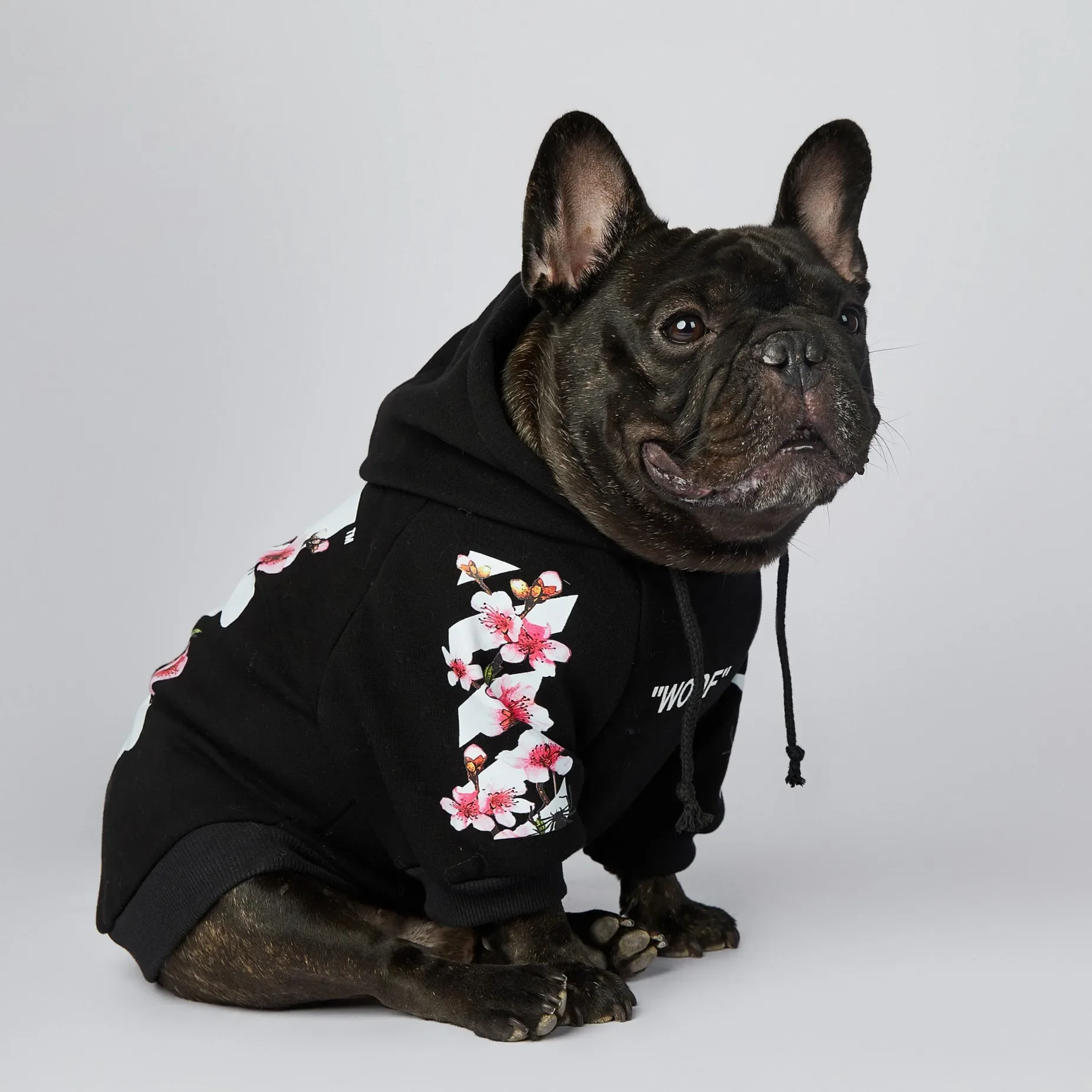 NONOR Vêtements pour chiens WOOF Veste pour chien Sakura Mode Sweats à capuche pour chien de compagnie Hiver Bouledogue français Carlins Veste de sport pour chien M-4XL